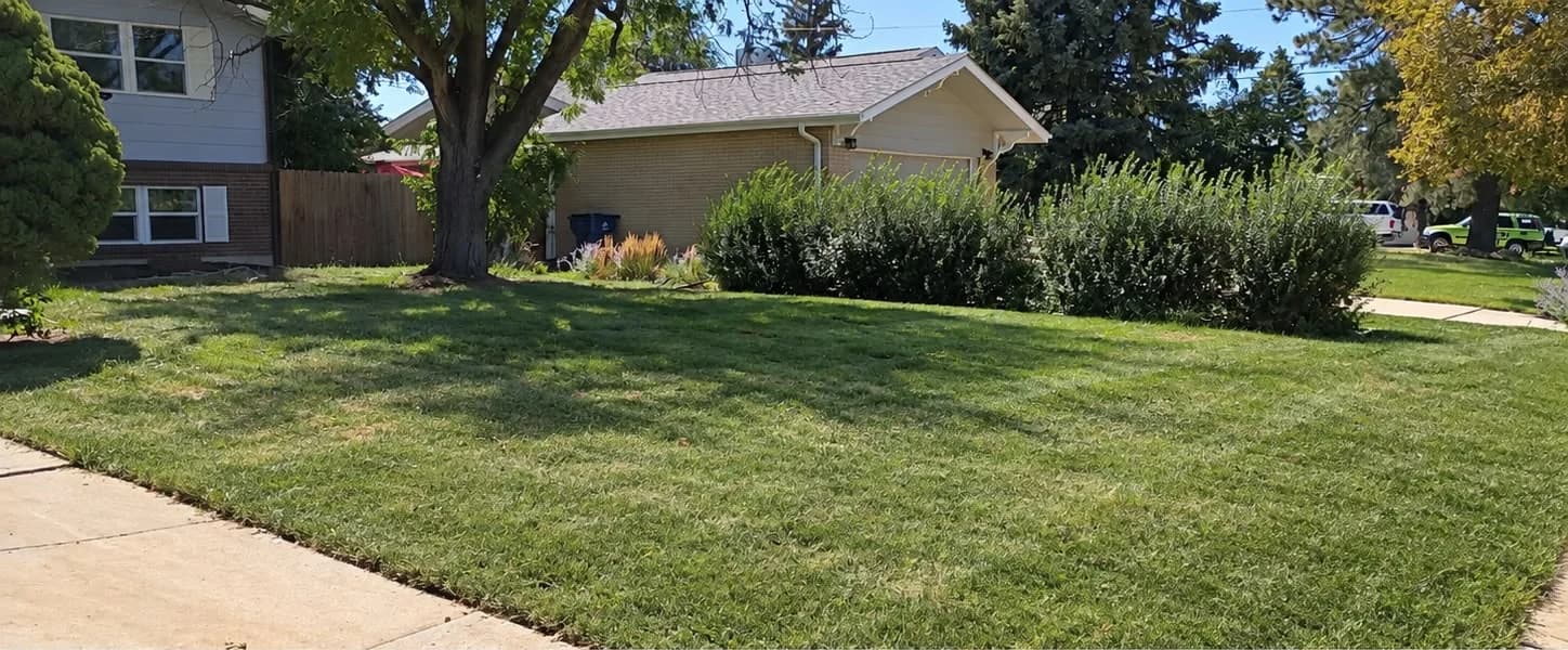 A freshly mowed front lawn with a clean edge along the sidewalk