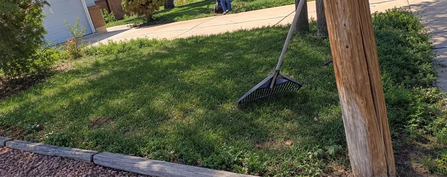 A rake on the lawn beside timber bed edging